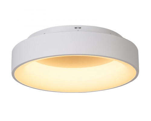 Оформить заказ Накладной светильник MyFar MR2194-1PL| VIVID-LIGHT.RU