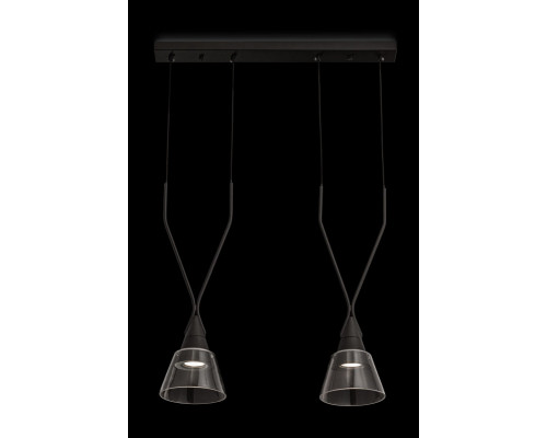 Оформить заказ Подвесной светильник Maytoni P063PL-02B| VIVID-LIGHT.RU