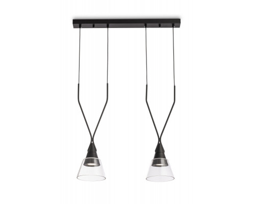 Оформить заказ Подвесной светильник Maytoni P063PL-02B| VIVID-LIGHT.RU