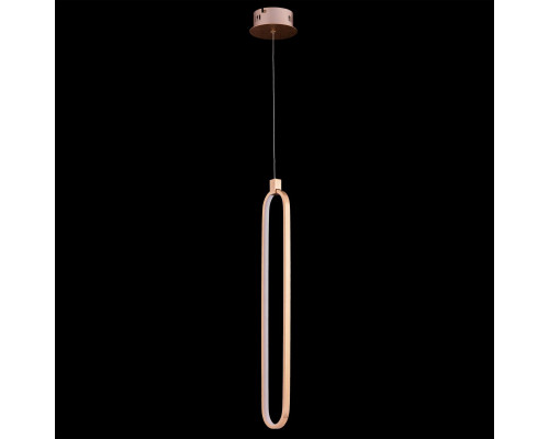 Заказать Подвесной светильник Maytoni MOD017PL-L13G| VIVID-LIGHT.RU