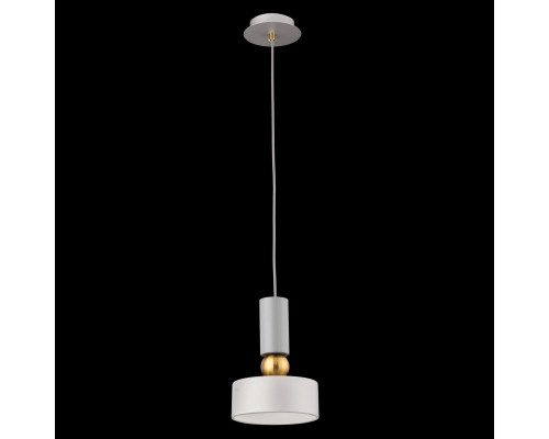 Заказать Подвесной светильник Maytoni MOD030PL-01GR| VIVID-LIGHT.RU