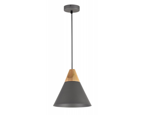 Заказать Подвесной светильник Maytoni P359-PL-220-C| VIVID-LIGHT.RU