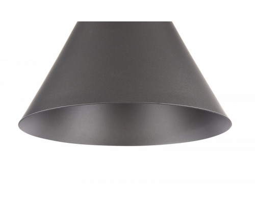 Заказать Подвесной светильник Maytoni P359-PL-220-C| VIVID-LIGHT.RU