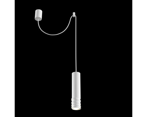 Оформить заказ Подвесной светильник Maytoni Technical P025PL-01W| VIVID-LIGHT.RU