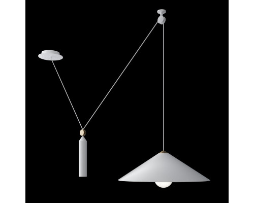 Сделать заказ Подвесной светильник Maytoni Technical P080PL-01W| VIVID-LIGHT.RU