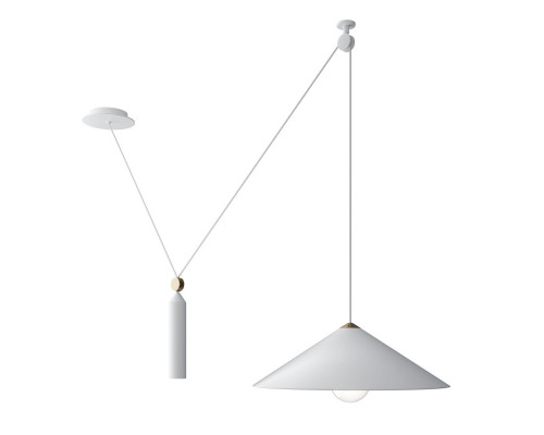 Сделать заказ Подвесной светильник Maytoni Technical P080PL-01W| VIVID-LIGHT.RU