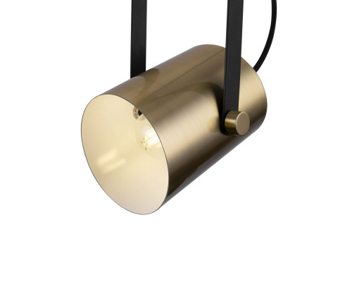 Сделать заказ Подвесной светильник Freya FR4004PL-01BBS| VIVID-LIGHT.RU