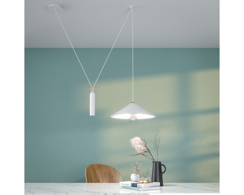 Сделать заказ Подвесной светильник Maytoni Technical P080PL-01W| VIVID-LIGHT.RU