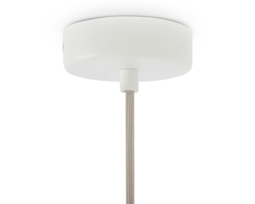 Сделать заказ Подвесной светильник Maytoni P150PL-01BG| VIVID-LIGHT.RU