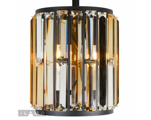Сделать заказ Подвесной светильник iLamp 10390-1P BK| VIVID-LIGHT.RU