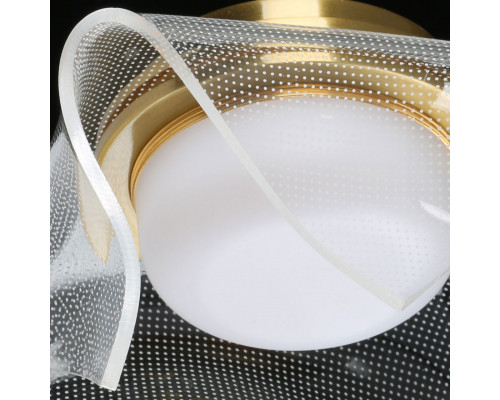 Сделать заказ Подвесной светильник DeMarkt 722012101| VIVID-LIGHT.RU