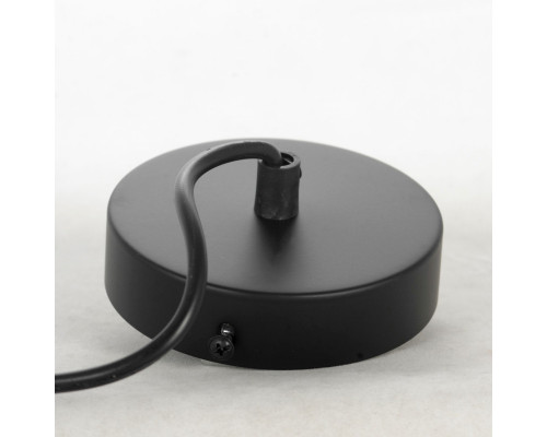 Оформить заказ Подвесной светильник LOFT LSP-8572| VIVID-LIGHT.RU