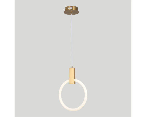 Оформить заказ Подвесной светильник LOFT LSP-8694| VIVID-LIGHT.RU