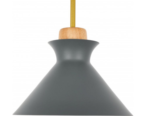 Оформить заказ Подвесной светильник MyFar MR1351-1P| VIVID-LIGHT.RU