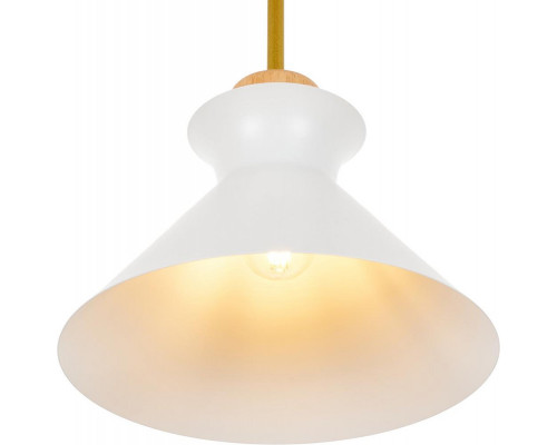 Заказать Подвесной светильник MyFar MR1352-1P| VIVID-LIGHT.RU