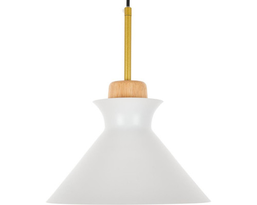 Заказать Подвесной светильник MyFar MR1352-1P| VIVID-LIGHT.RU