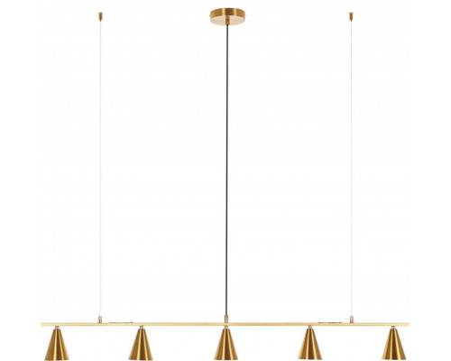 Сделать заказ Подвесной светильник MyFar MR1000-5P| VIVID-LIGHT.RU