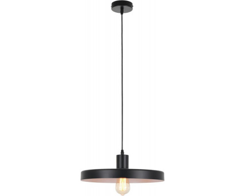 Заказать Подвесной светильник MyFar MR1390-1P| VIVID-LIGHT.RU