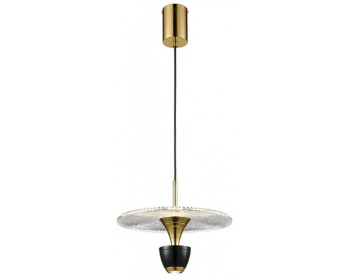 Купить Подвесной светильник WERTMARK WE471.02.366| VIVID-LIGHT.RU