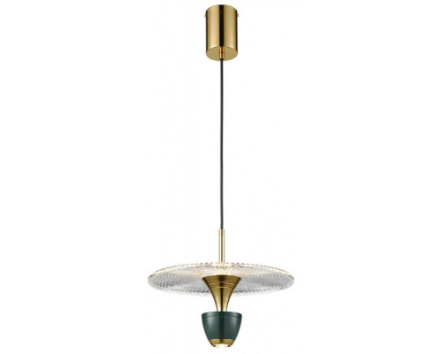Сделать заказ Подвесной светильник WERTMARK WE471.02.396| VIVID-LIGHT.RU