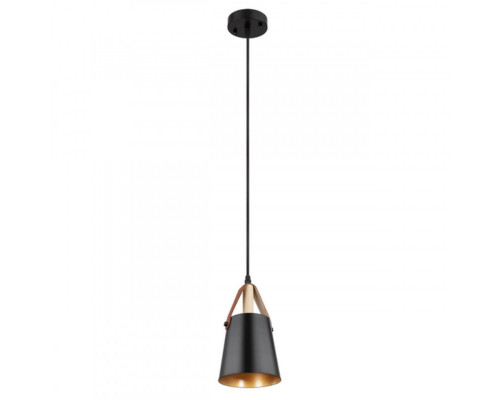 Сделать заказ Подвесной светильник ARTE Lamp A7032SP-1BK| VIVID-LIGHT.RU