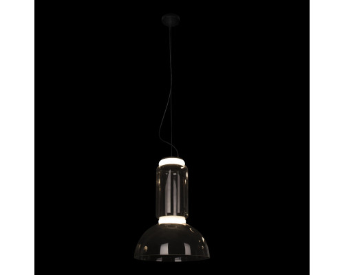 Оформить заказ Подвесной светильник LOFT IT 10192/S| VIVID-LIGHT.RU