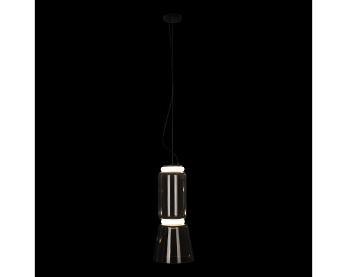 Оформить заказ Подвесной светильник LOFT IT 10193/S| VIVID-LIGHT.RU