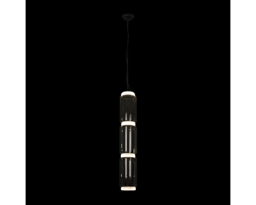 Заказать Подвесной светильник LOFT IT 10194/L| VIVID-LIGHT.RU