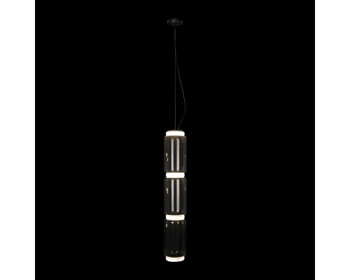 Заказать Подвесной светильник LOFT IT 10194/L| VIVID-LIGHT.RU