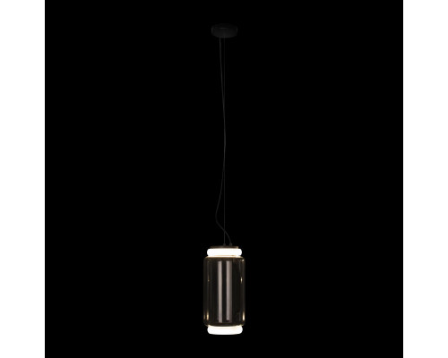 Заказать Подвесной светильник LOFT IT 10194/S| VIVID-LIGHT.RU