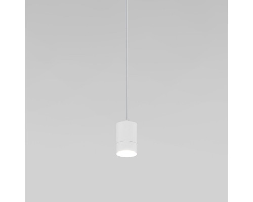 Оформить заказ Подвесной светильник Eurosvet 50248/1 LED белый| VIVID-LIGHT.RU