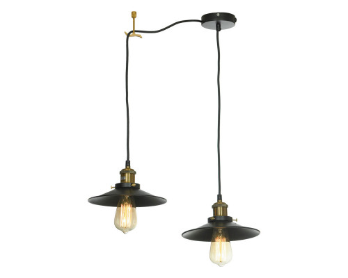 Заказать Подвесной светильник LOFT LSP-9601-2| VIVID-LIGHT.RU