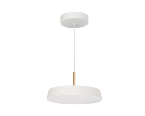 Сделать заказ Подвесной светильник Arlight 033919| VIVID-LIGHT.RU