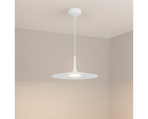 Оформить заказ Подвесной светильник Arlight 035999| VIVID-LIGHT.RU