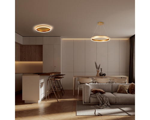 Оформить заказ Подвесной светильник Feron 41698| VIVID-LIGHT.RU