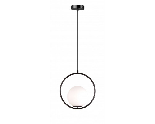 Оформить заказ Подвесной светильник Moderli V6021-1P| VIVID-LIGHT.RU