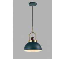 Подвесной светильник Moderli V10448-1P