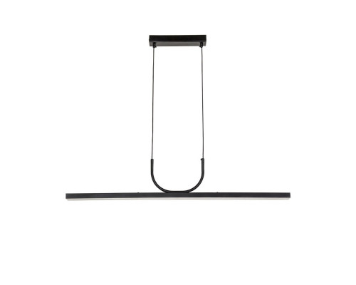 Оформить заказ Подвесной светильник Favourite 4096-1P| VIVID-LIGHT.RU