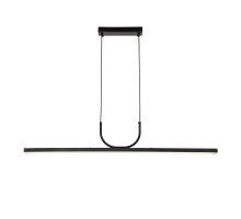 Подвесной светильник Favourite 4096-2P