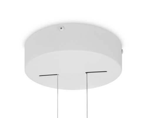 Сделать заказ Подвесной светильник Maytoni MOD163PL-L38W4K| VIVID-LIGHT.RU