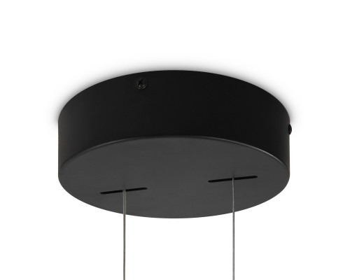 Купить Подвесной светильник Maytoni MOD163PL-L38B4K| VIVID-LIGHT.RU