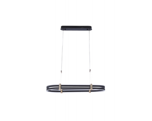 Оформить заказ Подвесной светильник Zortes ZRS.30505.92| VIVID-LIGHT.RU