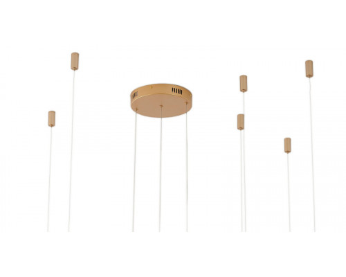 Заказать Подвесной светильник Zortes ZRS.33325.75F| VIVID-LIGHT.RU