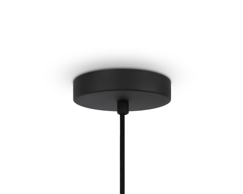 Купить Подвесной светильник Maytoni MOD197PL-01W2| VIVID-LIGHT.RU