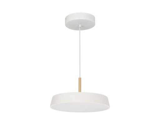 Купить Подвесной светильник Arlight 033914(1)| VIVID-LIGHT.RU