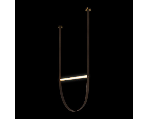 Сделать заказ Подвесной светильник LOFT IT 10221/1700| VIVID-LIGHT.RU