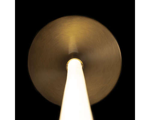 Сделать заказ Подвесной светильник LOFT IT 10230/3000| VIVID-LIGHT.RU