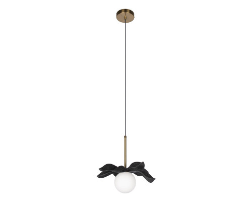 Заказать Подвесной светильник LOFT IT 10213/A Black| VIVID-LIGHT.RU