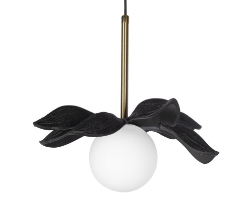 Заказать Подвесной светильник LOFT IT 10213/A Black| VIVID-LIGHT.RU