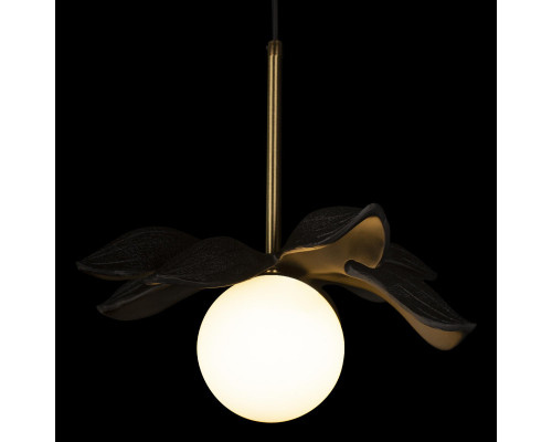 Заказать Подвесной светильник LOFT IT 10213/A Black| VIVID-LIGHT.RU